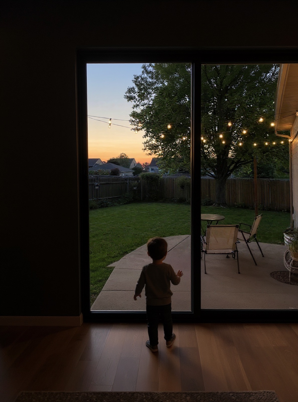 My kids standing at the back door looking out at the yard.